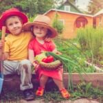 10 Simple Tips for Winterizing Your Garden