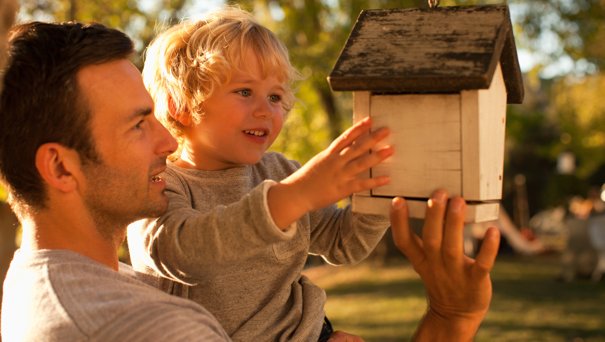Create a Wildlife Refuge in Your Backyard for Under $40