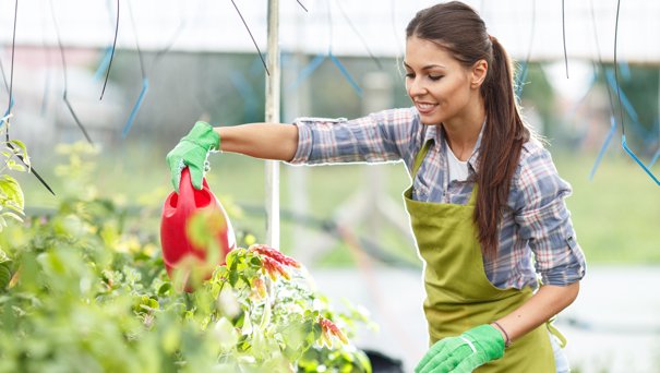 Top 10 Valuable Plants for Your Spring Garden