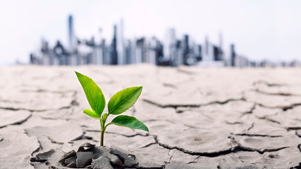 6 Ways Climate Change May Impact Your Finances