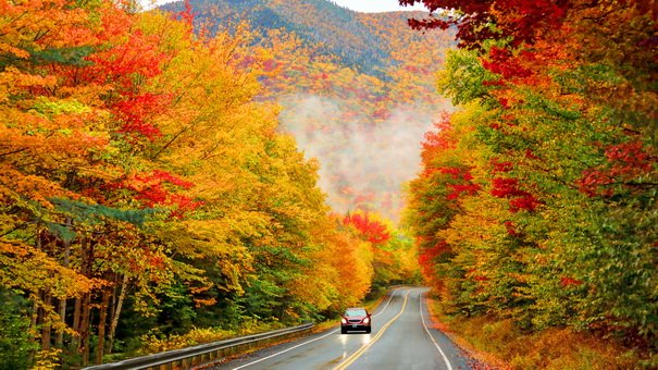 Six Stunning Fall Foliage Drives for This Year