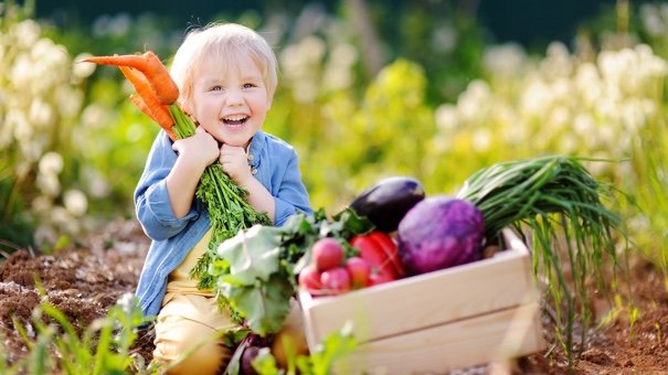 Do You Have a Vegetable Garden?