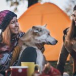Finding Free Campsites in the U.S.